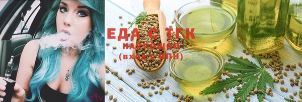 индика Абинск