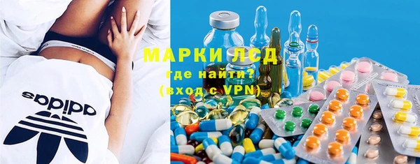 индика Абинск