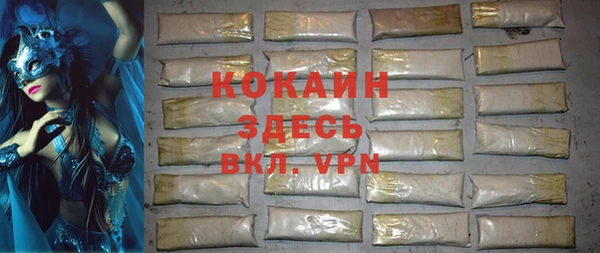 индика Абинск