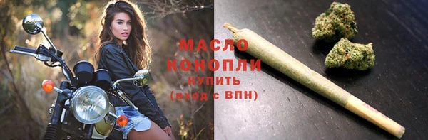 индика Абинск