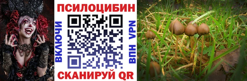 Галлюциногенные грибы мицелий  blacksprut как зайти  Тихорецк 